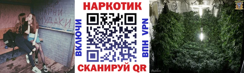 Галлюциногенные грибы Струнино