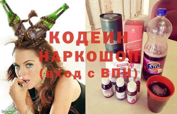 сатива Аркадак
